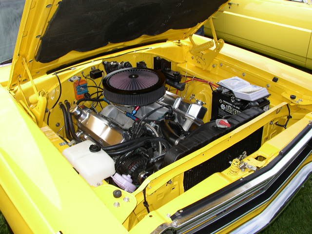 P1010125.JPG